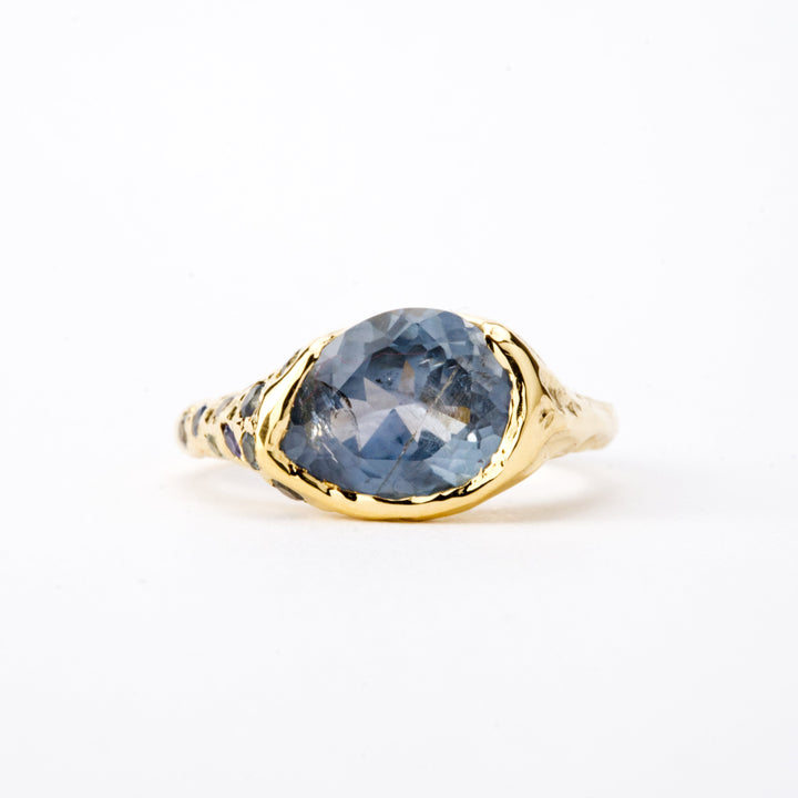 Caspian Blue Montana Sapphire Ring - 2.875ct