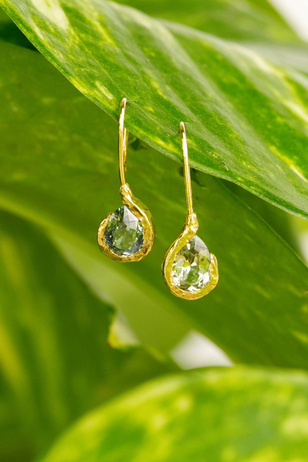 Baywater Montana Sapphire Earrings - 1.05ct