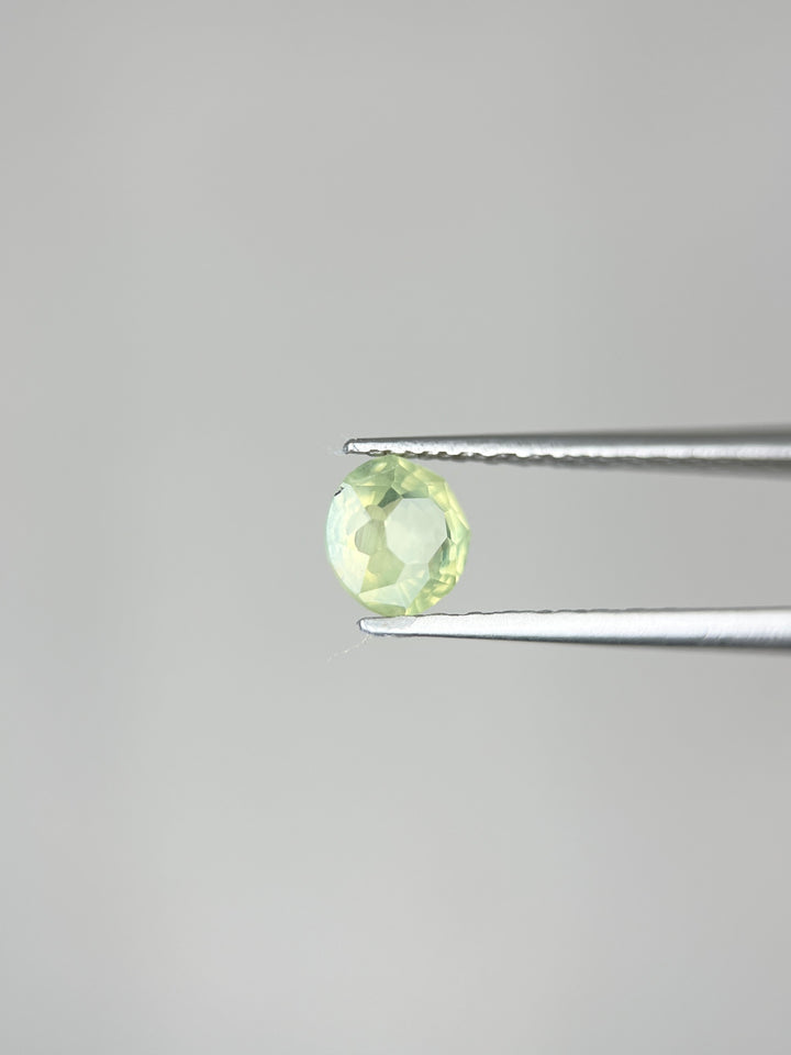 Sunflower Green - 1ct
