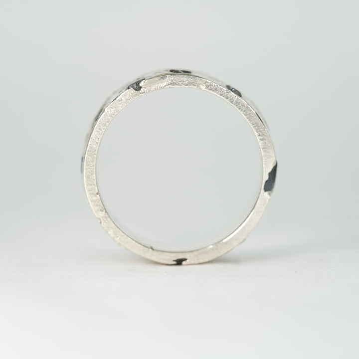 14k White Gold Yogo Rough Montana Sapphire Ring - Eternity Band Slim